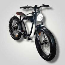 Alligator E-bike 1